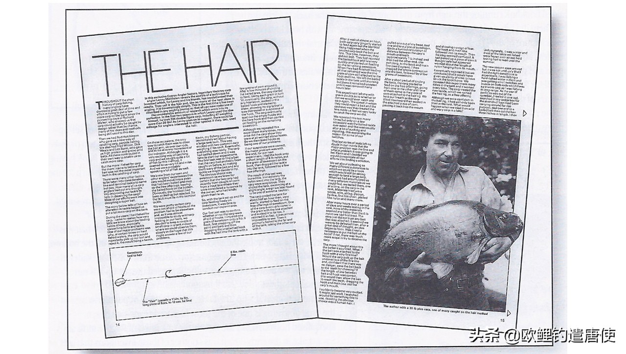 欧鲤钓适合中国吗,欧鲤钓入门