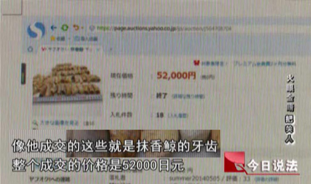 今日说法|他对妈妈说自己在做海外代购，却不让妈妈知道自己的代购涉嫌犯罪