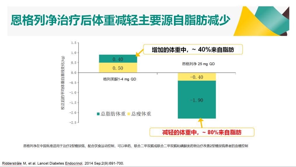 肥胖与腹型肥胖的健康指导,胖纸的优势