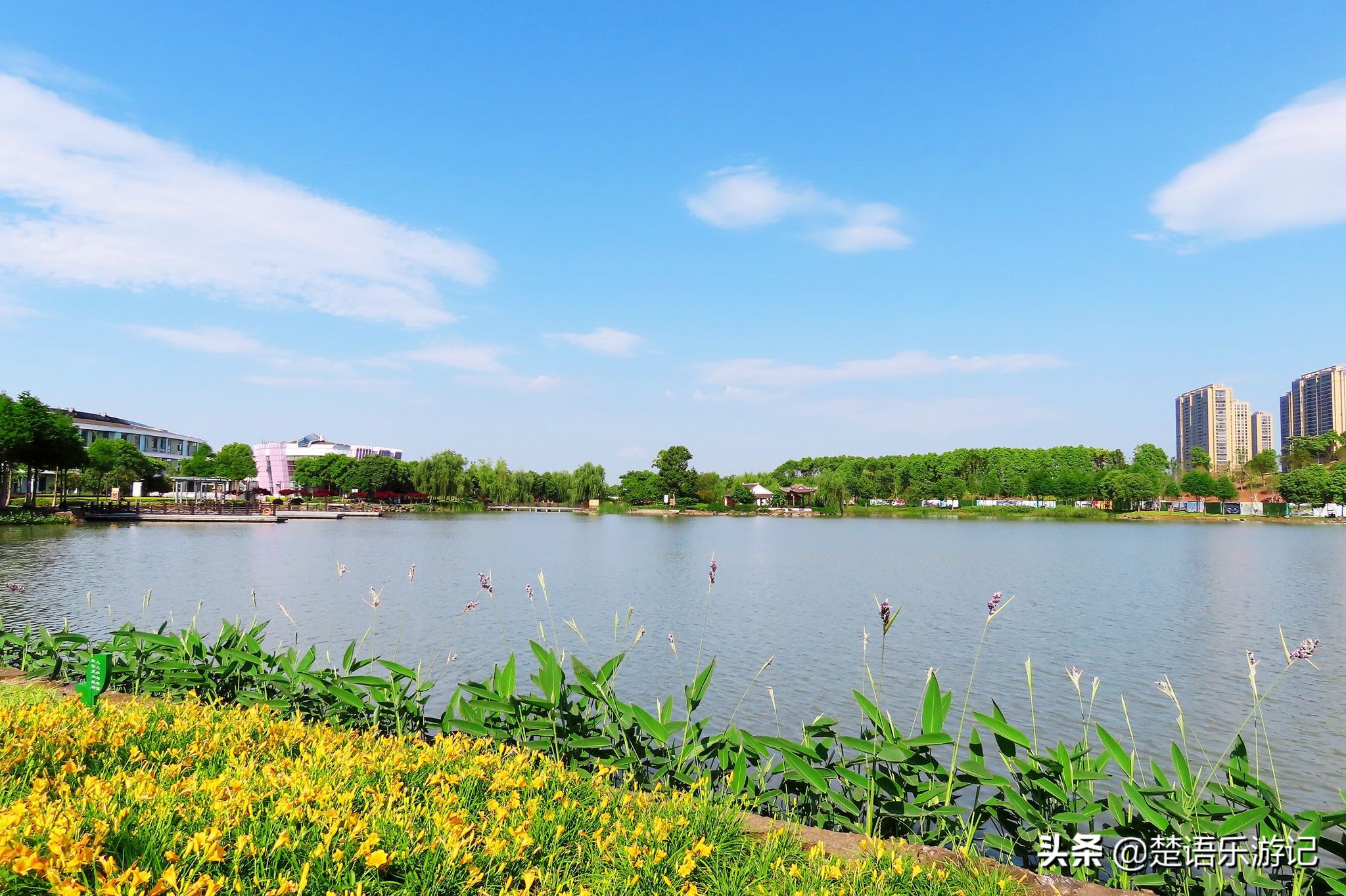 宁波奉化最好的公园,宁波奉化旅游景点推荐森林公园