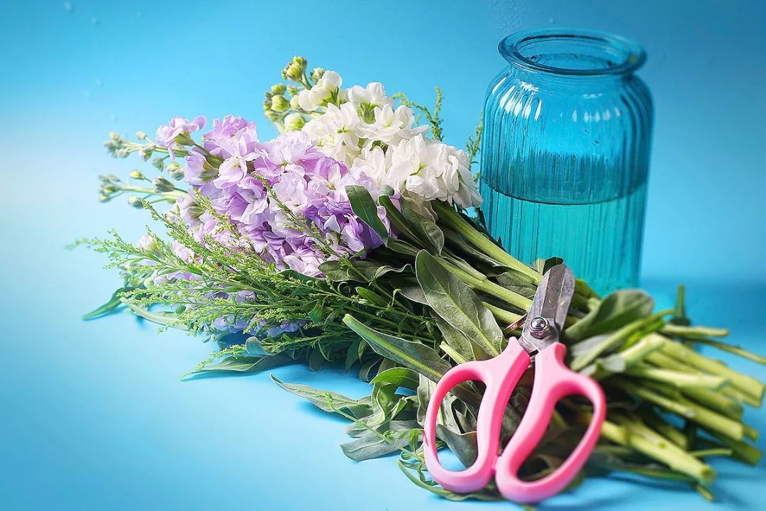 50种鲜切花花语，每个花艺师都要知道