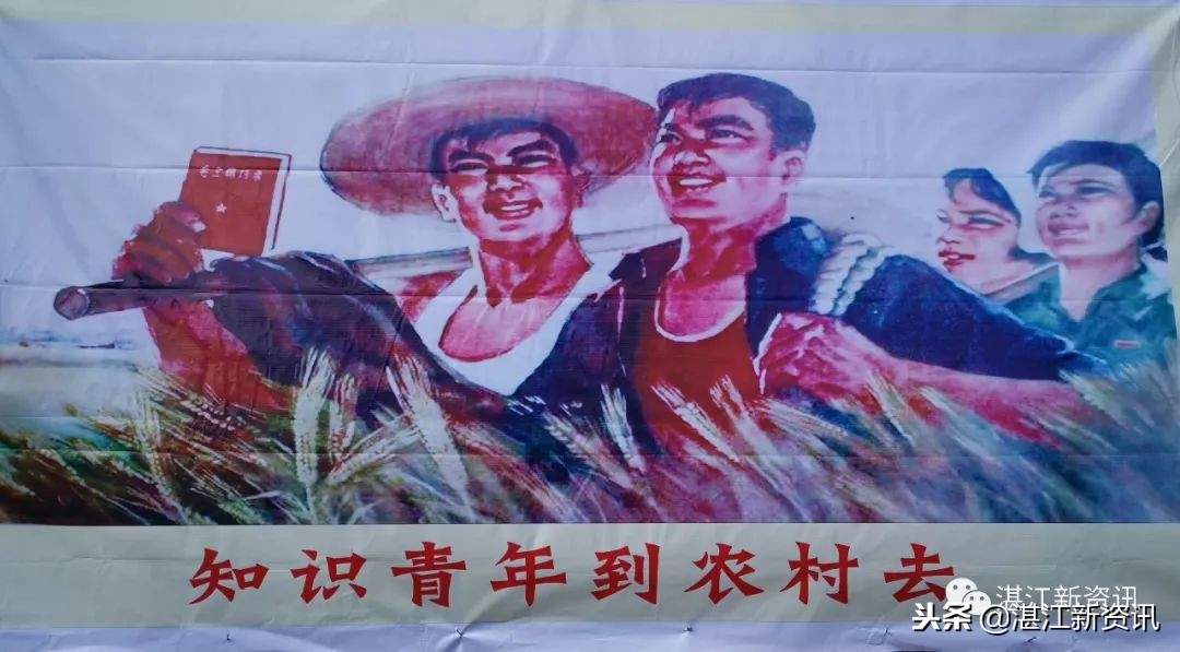 知青下乡49周年纪念活动,纪念知青下乡50周年图片图文