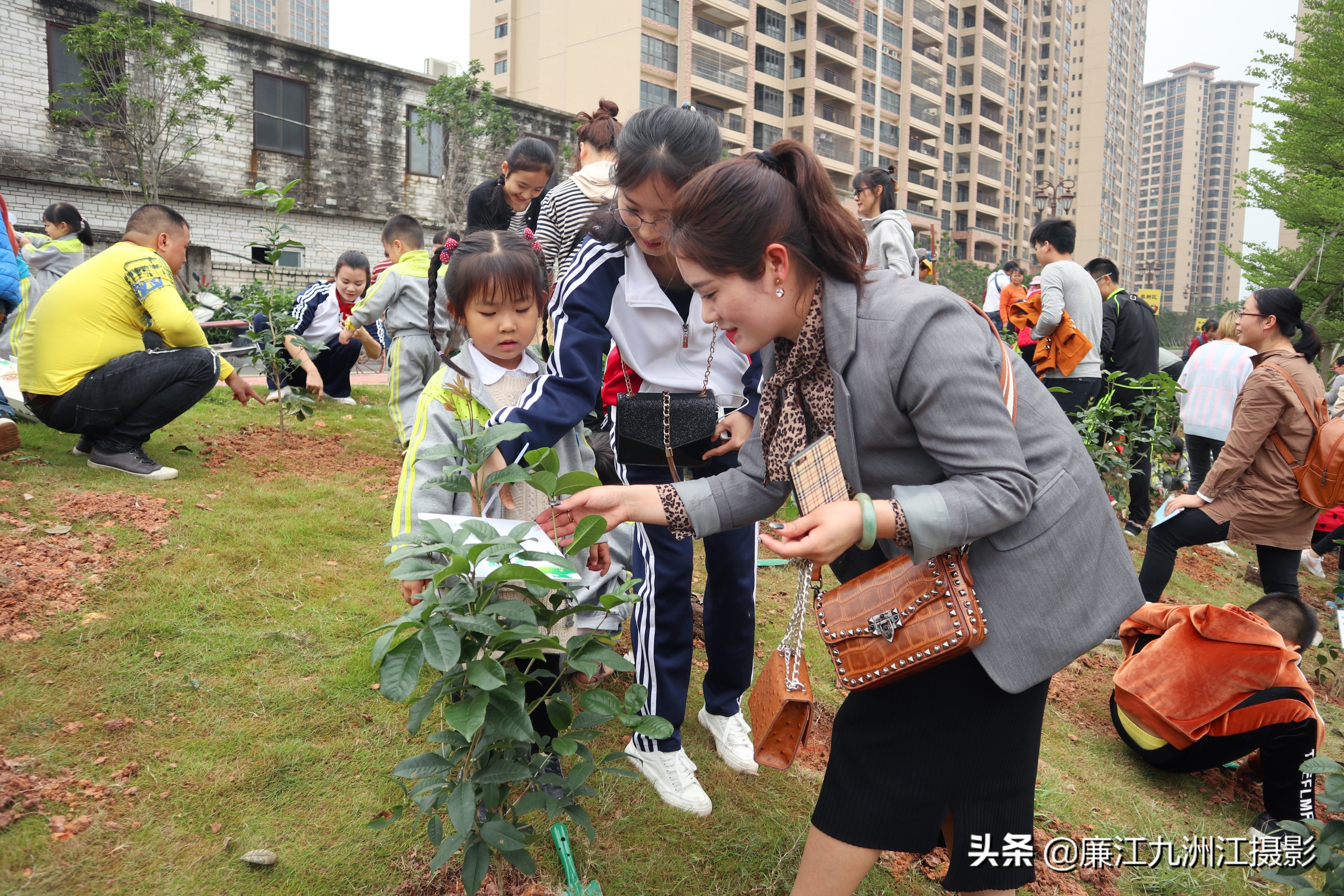 种下希望让梦想发芽舞蹈,种下希望让梦想发芽