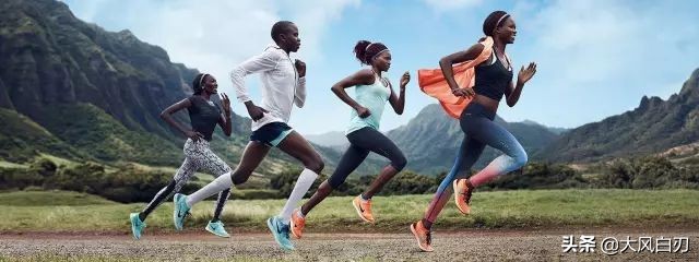小短腿跑不快,小短腿为什么跑那么快