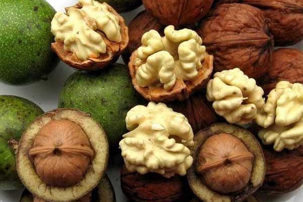 核桃全身都是宝,核桃全身是宝有什么作用
