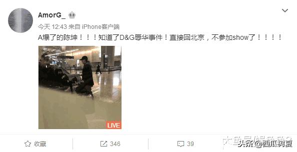 dg退出中国了吗,dg再发声是什么意思