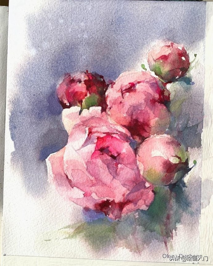 唯美写意水彩花卉,各种水彩花卉的表现技法学习吧