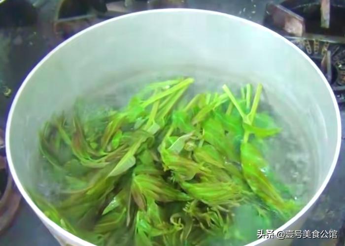 最爱的春季野菜香椿炒鸡蛋,春季可口家常菜香椿芽炒鸡蛋