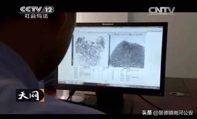 中国女尸案,中国神秘纹身女尸案