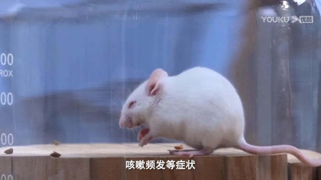 谁才是真正的环保板材,环保板材实测