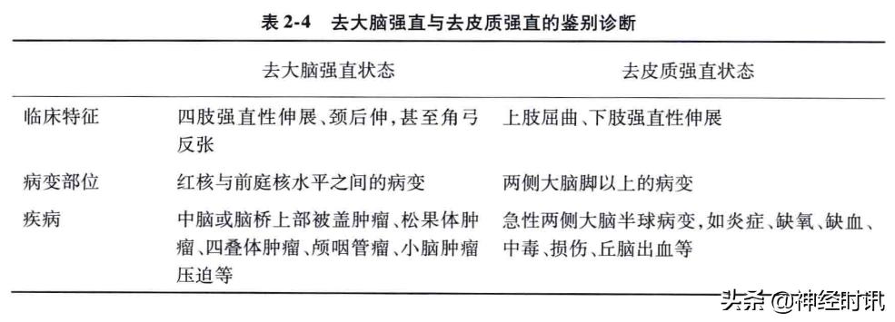 脑干解剖,脑干神经解剖