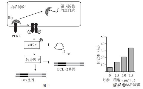 生物高考细胞膜知识点,细胞膜高考知识点
