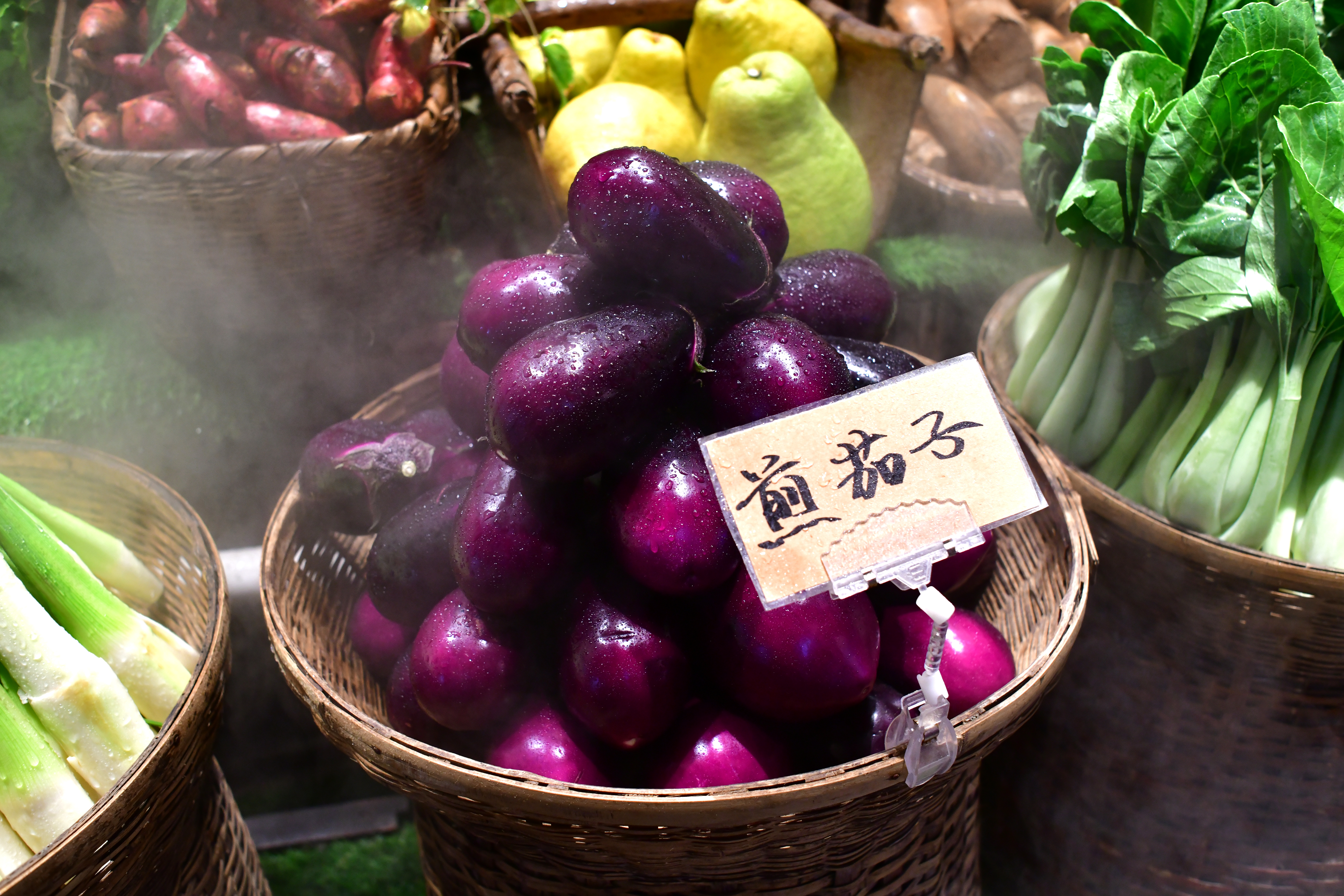 湘菜之甲鱼馆,特色湘菜甲鱼馆