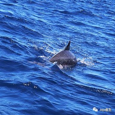 网红殴打孕妇的危害,网红暴打孕妇致先兆流产后再道歉