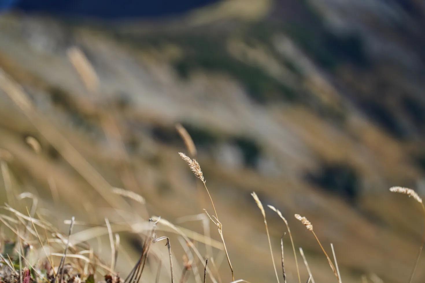 瑞士少女峰旅游详细攻略,四姑娘山徒步路线免费推荐