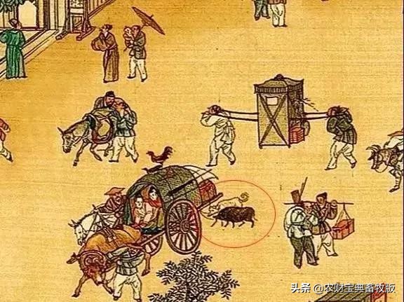 教你如何画猪,来一个画猪教程