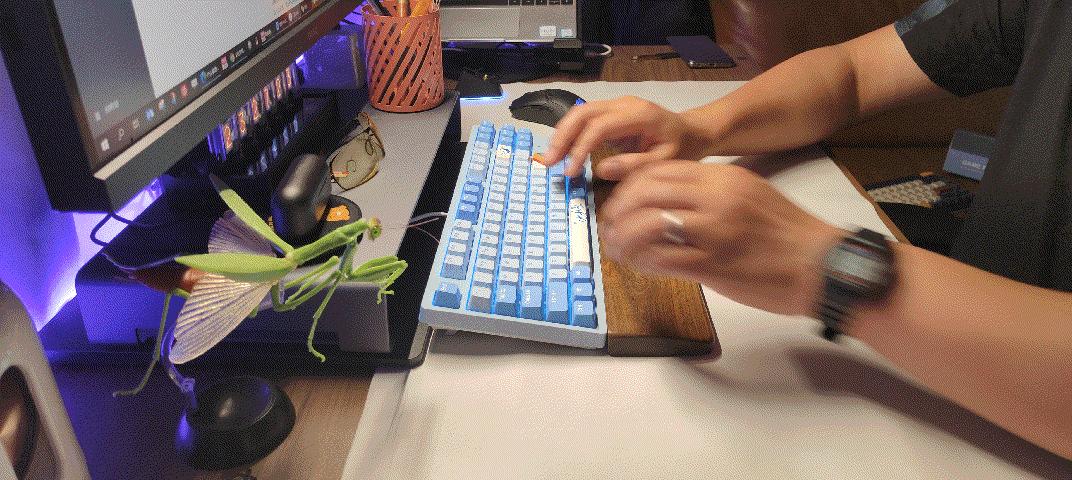 达尔优a87天空版怎么样,a87达尔优值得买吗