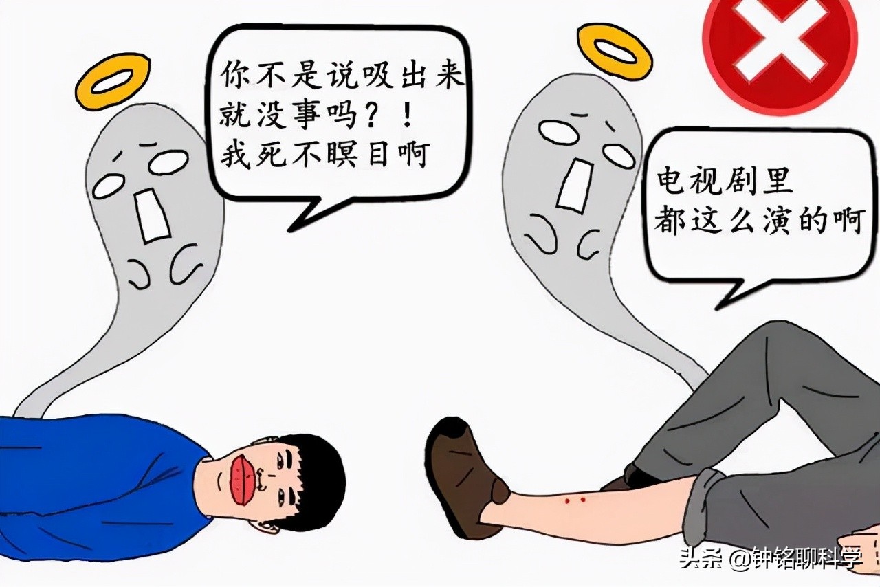 男子被蛇咬了毒蛇却奄奄一息,被毒蛇咬伤用什么蛇药