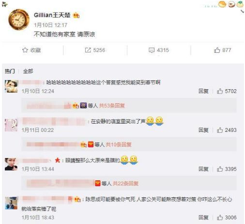 陈思诚婚内绯闻,陈思诚绯闻事件真相