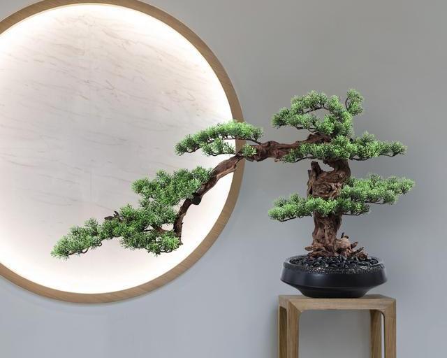 什么树木可以做盆景图片大全,什么树木做盆景好