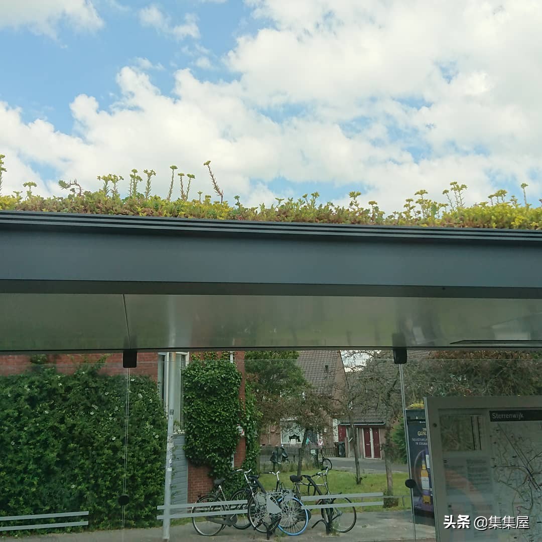 已经普及的环保发明,世界上最简单的环保发明