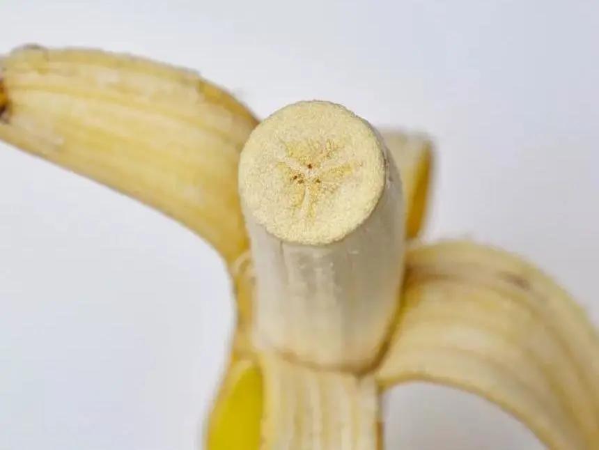 用针作画骗人的案例,用针作画骗局揭秘