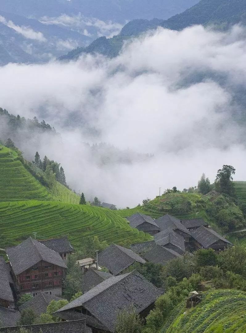 鸡血玉的历史来历,鸡血玉历史由来