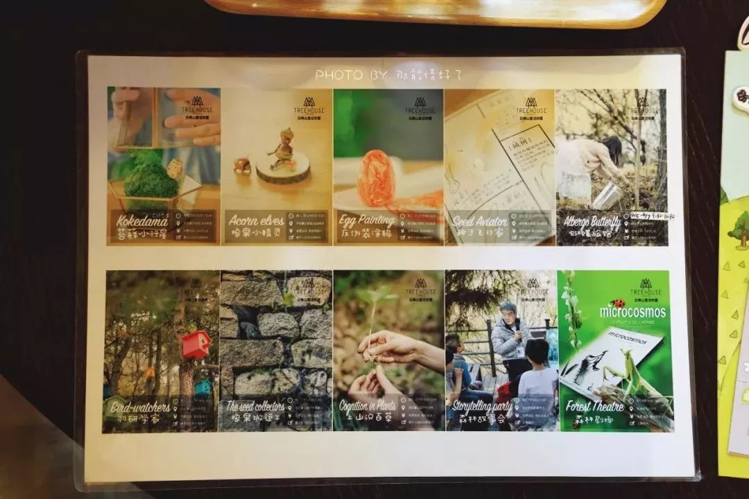 京郊童话树屋,京郊最美童话树屋