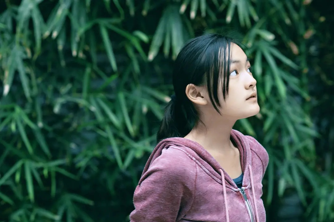 嘉年华死亡率高什么原因,嘉年华的最大弊病