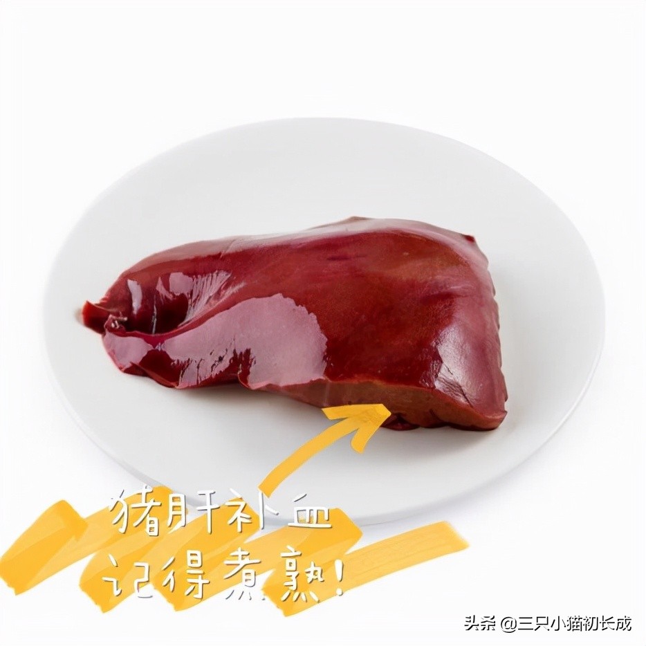 猫咪粉色鼻头发白是怎么回事,猫咪的鼻头非常的红怎么回事