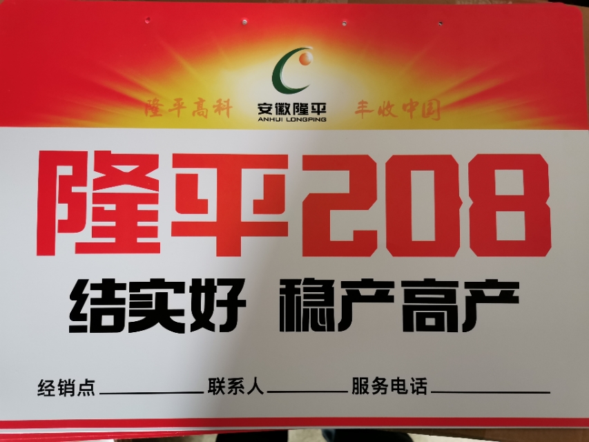 隆平208产量顶呱呱,隆平208玉米品种株高