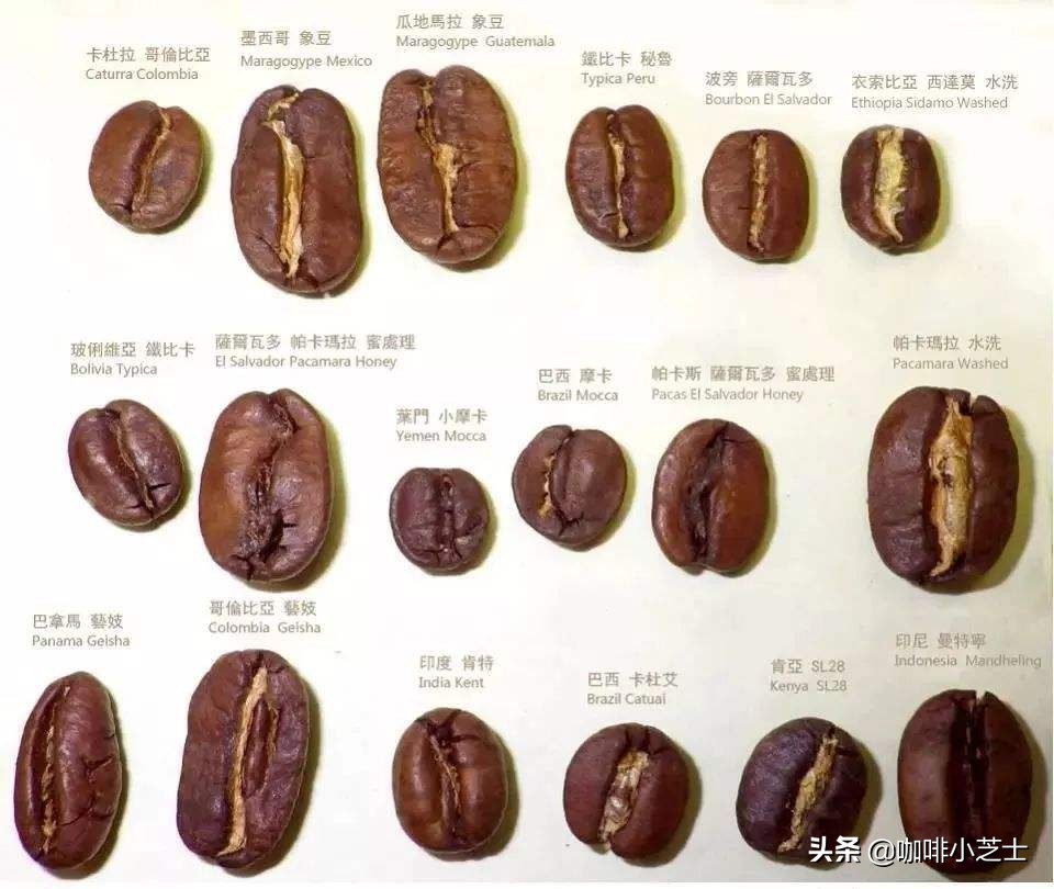 哪种肯尼亚咖啡最好喝,咖啡小知识