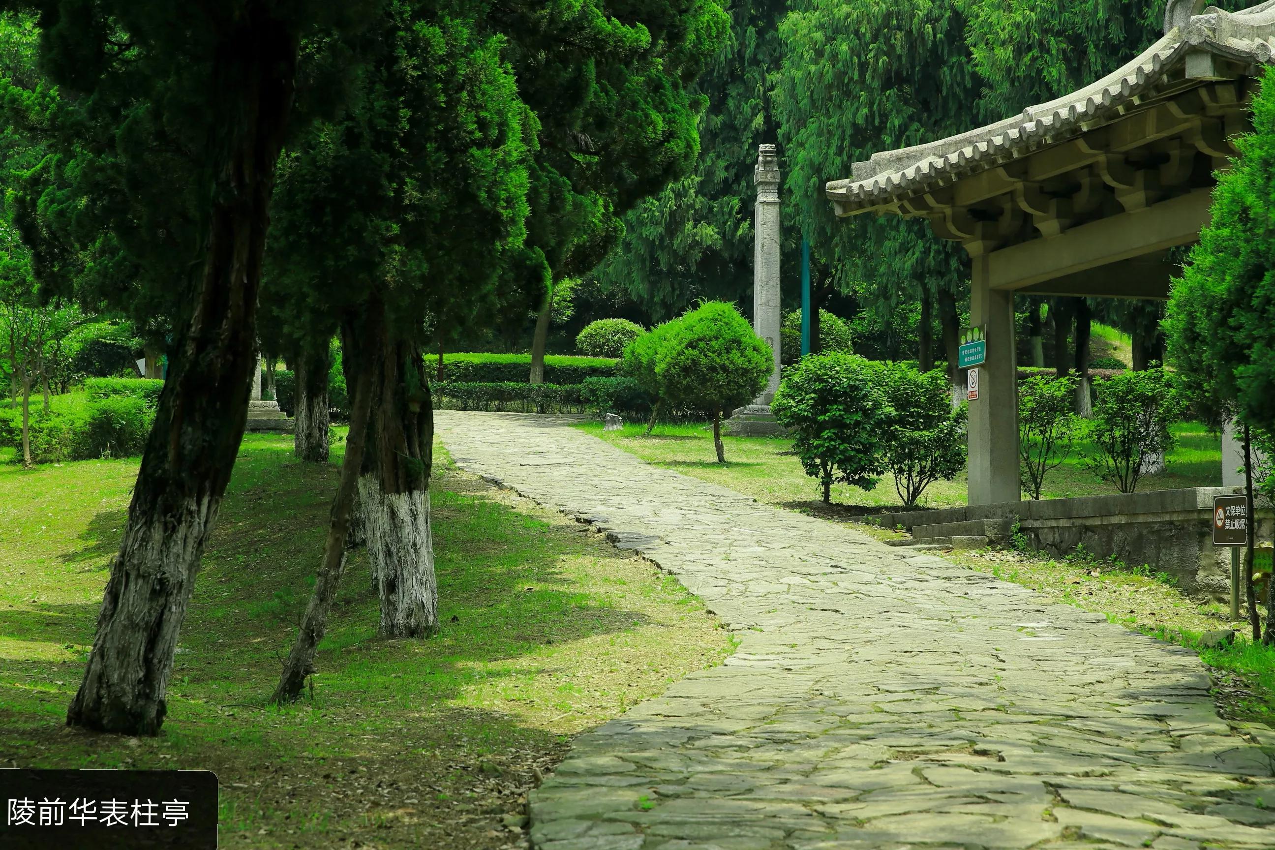 世凹桃园,世凹桃源图片