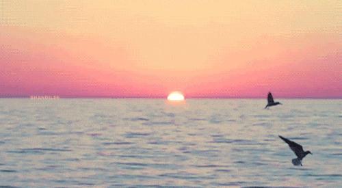 干货写不出来怎么办,干货练字方法论