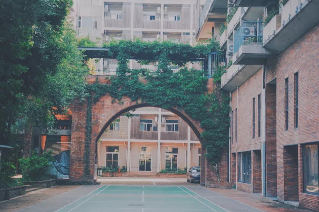 四川国际标榜学院的王牌专业,四川国际标榜职业学院网红