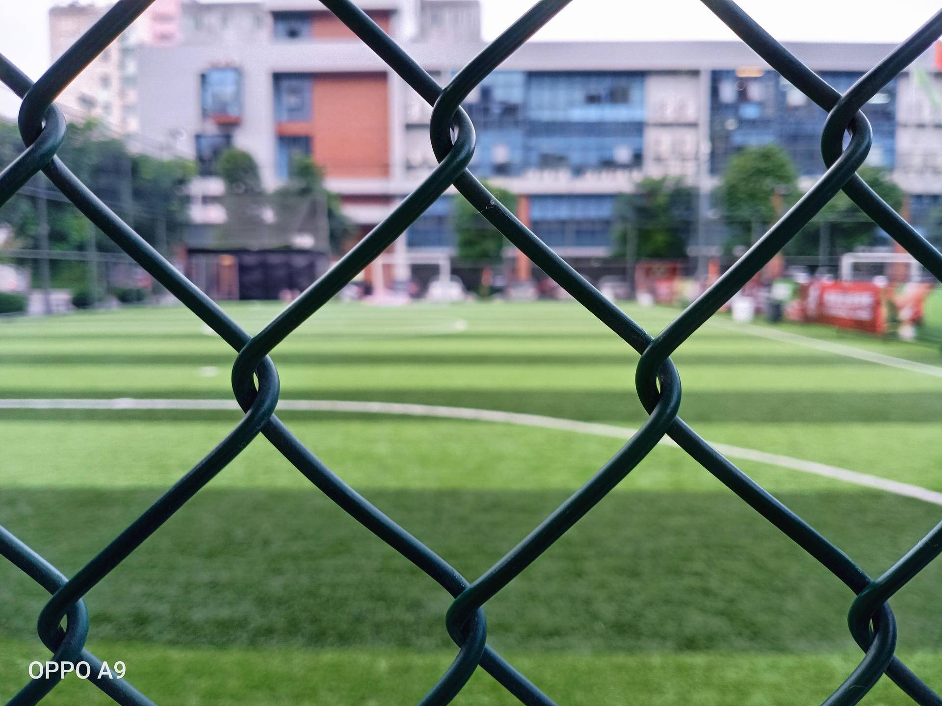 oppo低端机拍视频,oppo中端机影像