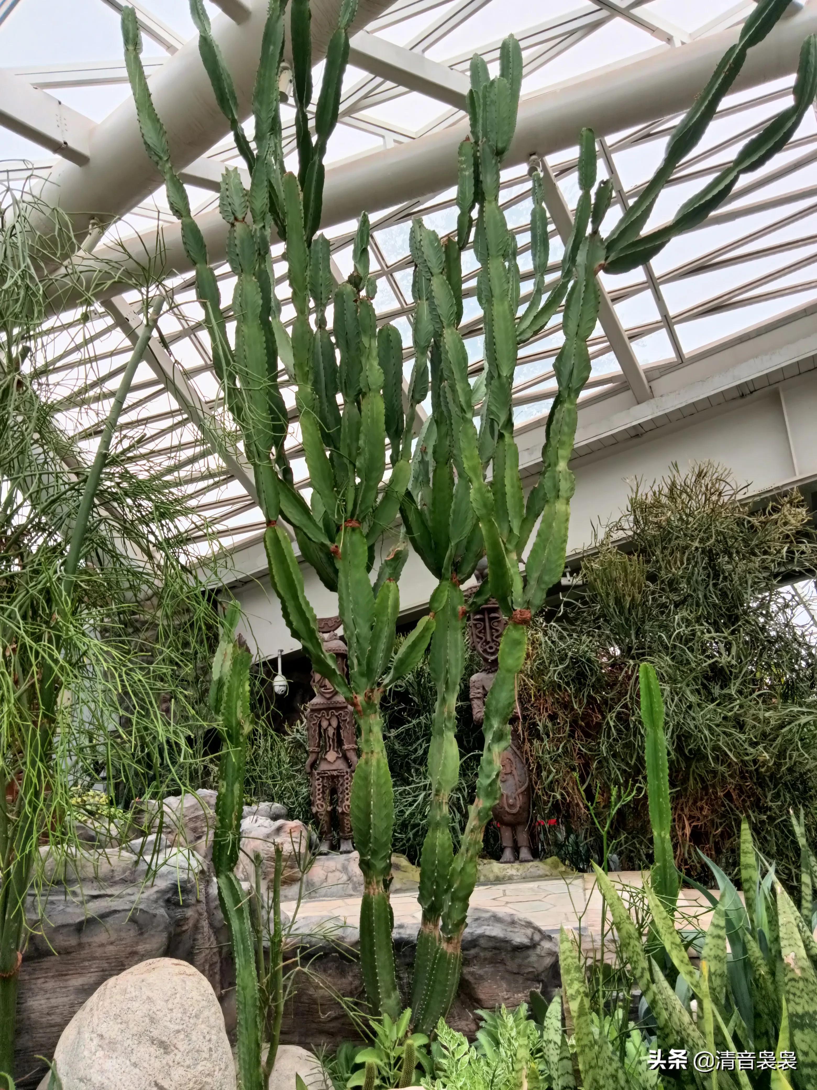 10年前西安世博园,现在世博园怎么样了