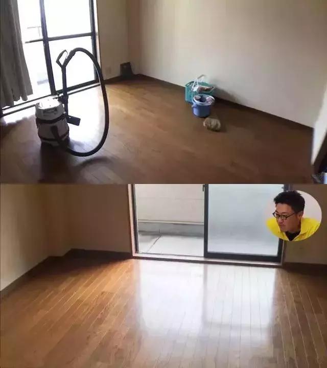 强迫症级家政服务，处理垃圾就要一万多元