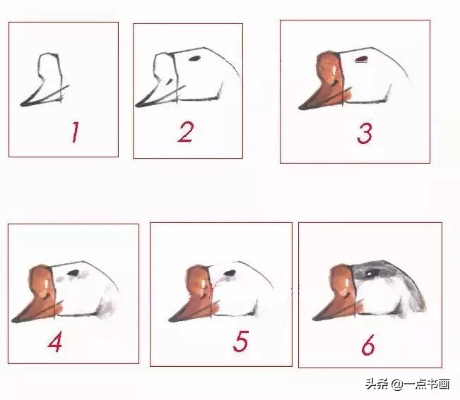 鹅画法可爱简单在陆地上行走,图文教程鹅写意画法