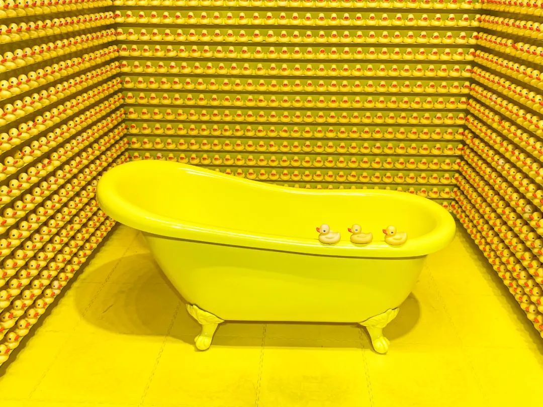 悉尼冬天能旅游吗,悉尼的冬季