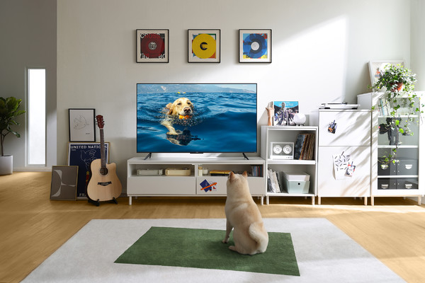 智能电视需要注意哪几个参数,智能电视参数参考