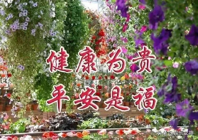 苦才是人生累才是生活图文,苦才是生活累才是工作是谁说的