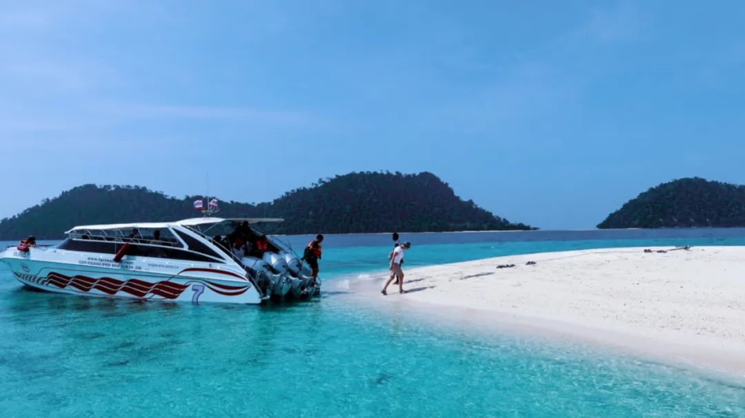 恋恋丽贝岛,人狗情未了|KohLipe