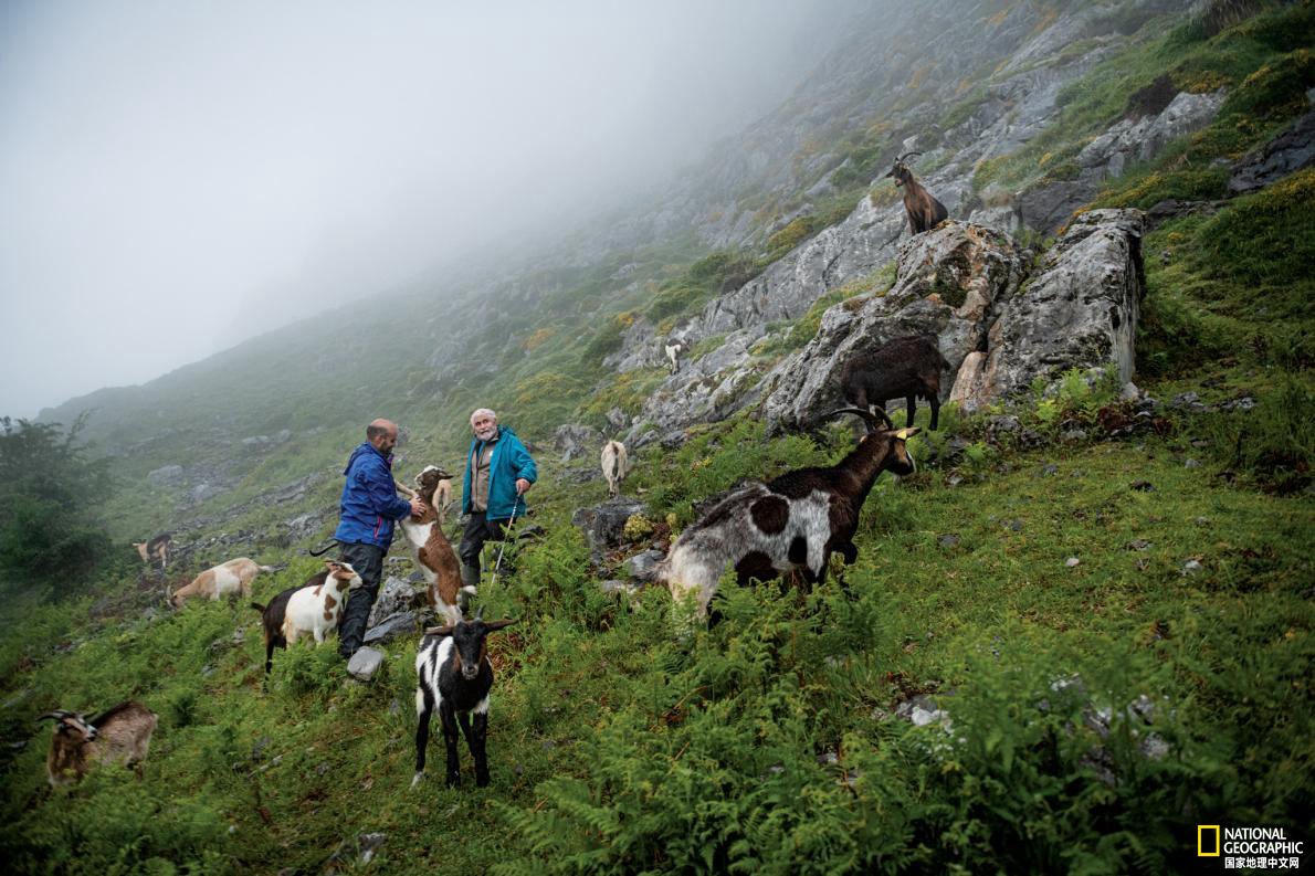 西班牙阿斯图里亚斯视频大全,西班牙组曲阿斯图里亚斯的传奇
