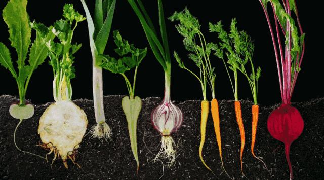 抗蓝光防紫外线护肤品,抗蓝光美白护肤产品