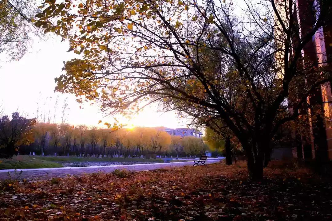 辽宁省普通高等院校（二十五）沈阳工程学院