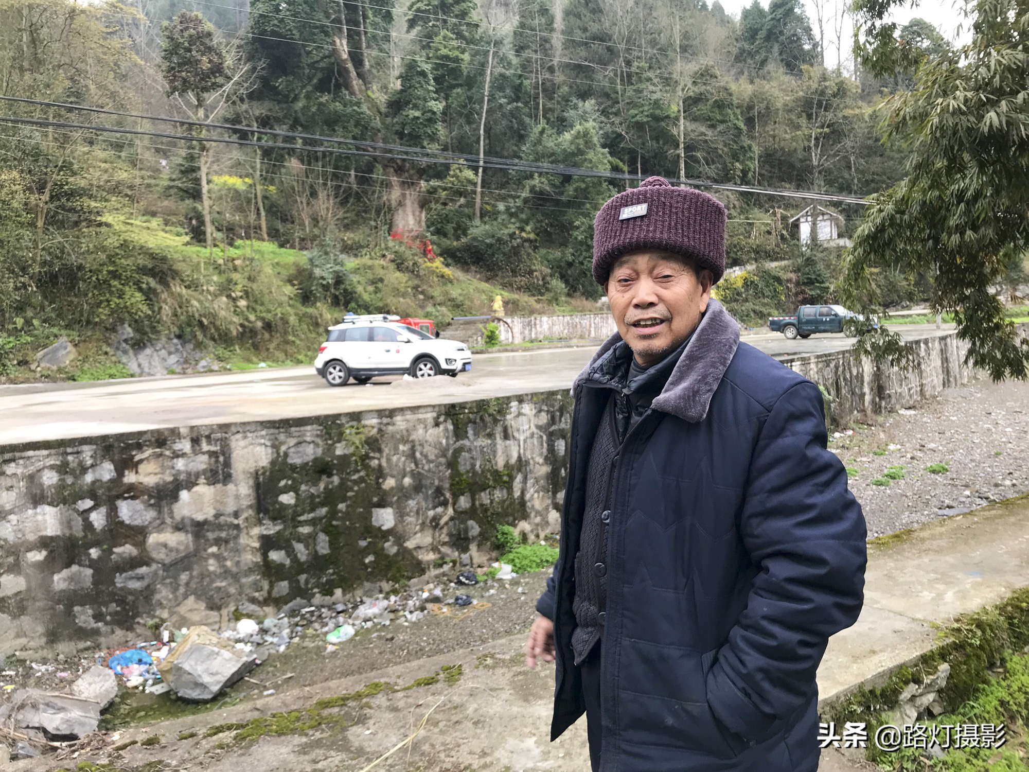 贵州金丝楠木树王还活着吗,贵州发现一棵千年楠木王