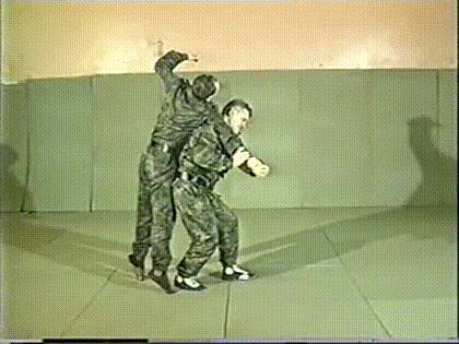 格斗式桑搏的标准动作,桑搏格斗术实战