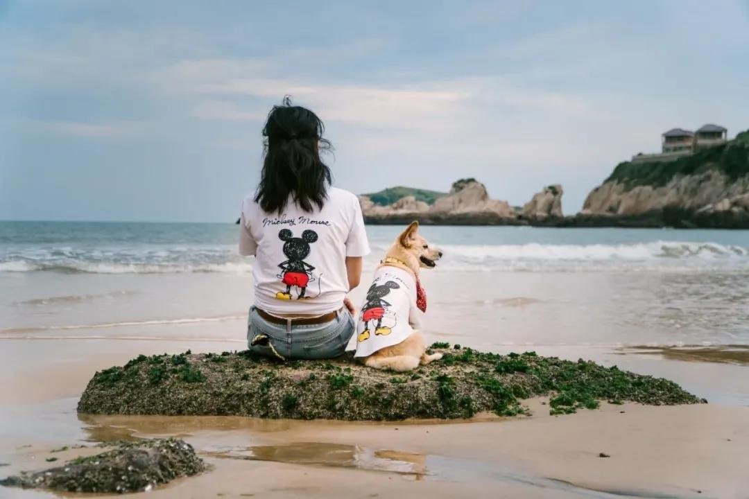 带着自己的宠物去旅行,主人带着狗狗去全世界旅行