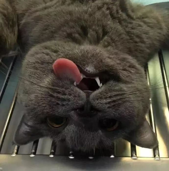 跟直男谈恋爱是种怎样的体验,直男和直男交朋友会怎么样